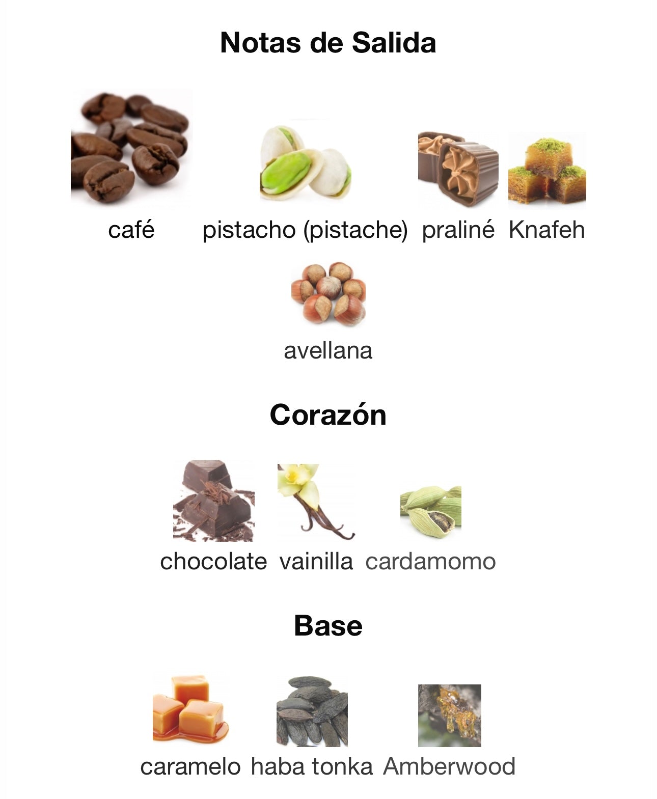 Odyssey Dubai Chocolat Armaf